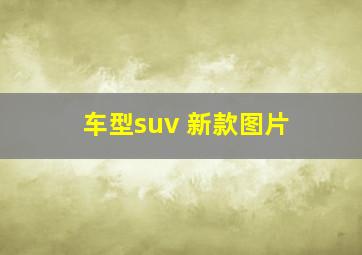 车型suv 新款图片